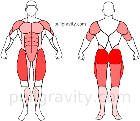 HIIT cuerpo completo en 7 minutos muscles heatmap