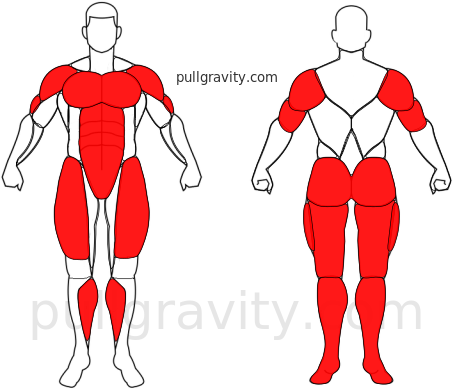 Burpee with push-up muscles heatmap
