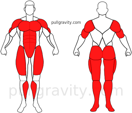 Burpee con lagartija muscles heatmap