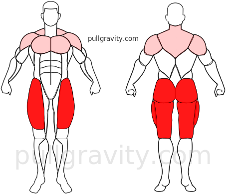 Rodillas Arriba muscles heatmap