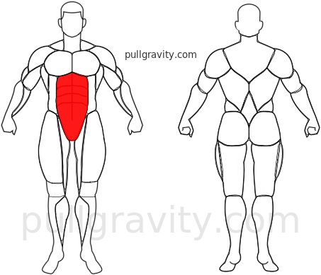 Escalador muscles heatmap