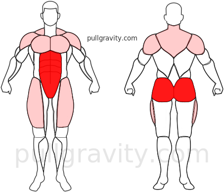 Plank muscles heatmap