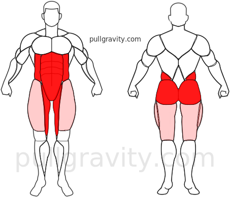 Side Plank muscles heatmap