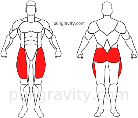 Sentadillas muscles heatmap