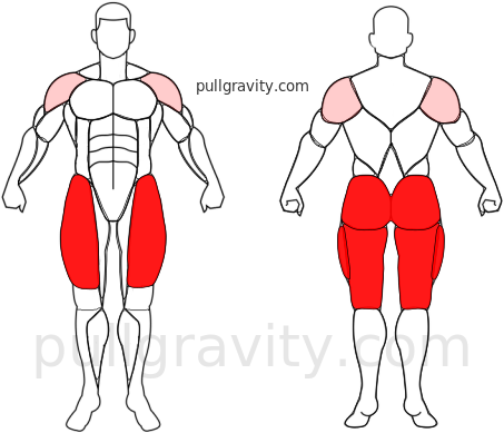 Saltos Estrella muscles heatmap