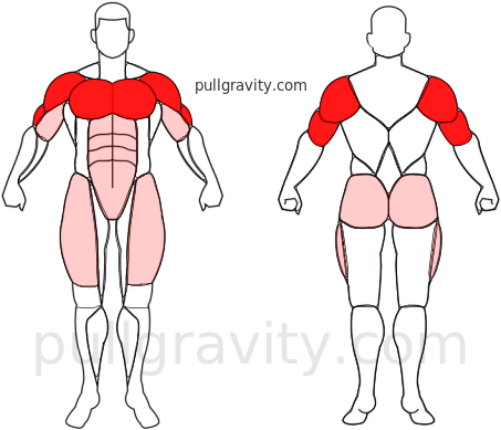 T Push-up muscles heatmap