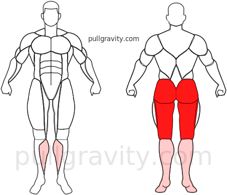 Windmills muscles heatmap